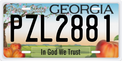 GA license plate PZL2881