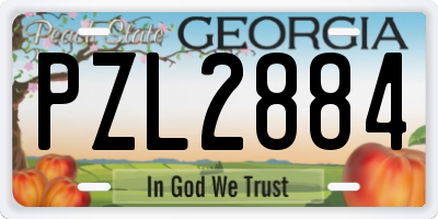 GA license plate PZL2884