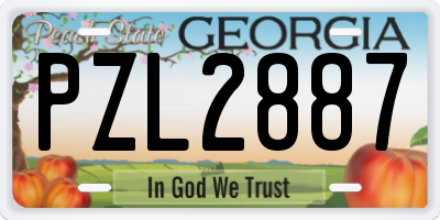 GA license plate PZL2887