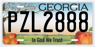 GA license plate PZL2888