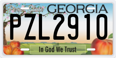 GA license plate PZL2910
