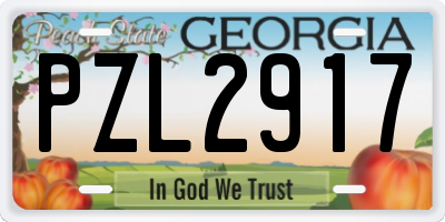 GA license plate PZL2917