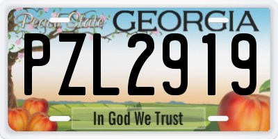 GA license plate PZL2919