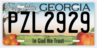 GA license plate PZL2929