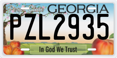 GA license plate PZL2935
