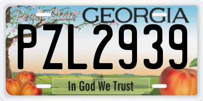 GA license plate PZL2939
