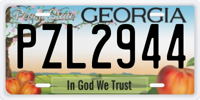 GA license plate PZL2944