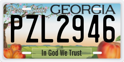 GA license plate PZL2946