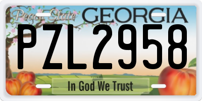 GA license plate PZL2958