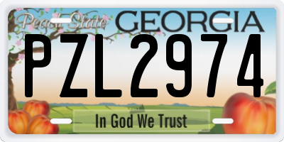 GA license plate PZL2974