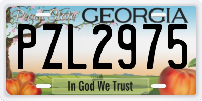 GA license plate PZL2975