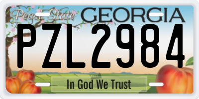 GA license plate PZL2984