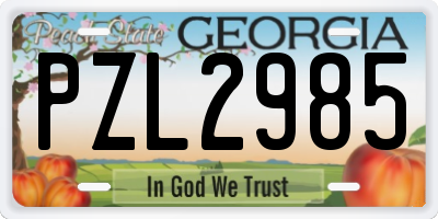 GA license plate PZL2985