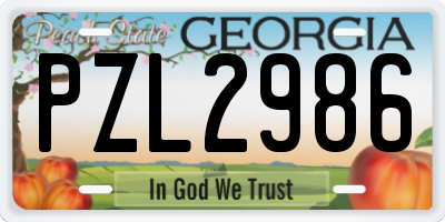 GA license plate PZL2986