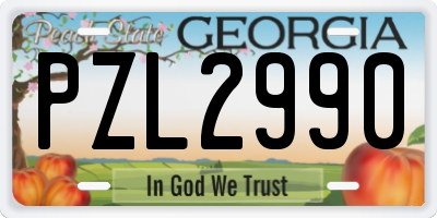 GA license plate PZL2990