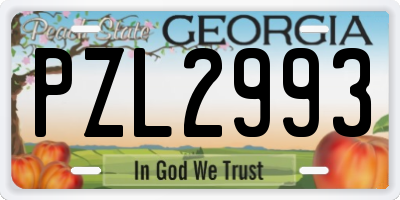 GA license plate PZL2993