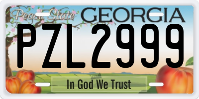GA license plate PZL2999