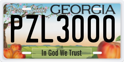 GA license plate PZL3000