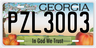 GA license plate PZL3003