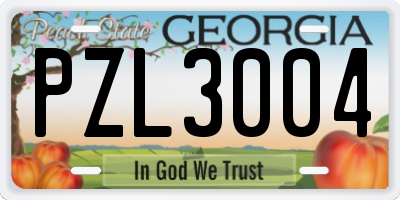 GA license plate PZL3004