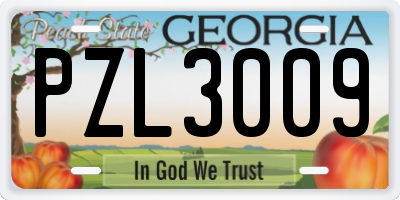 GA license plate PZL3009