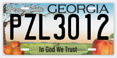 GA license plate PZL3012