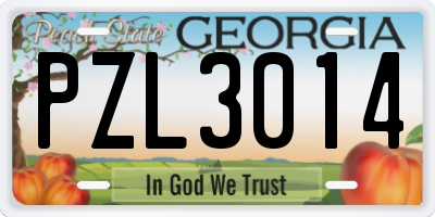 GA license plate PZL3014
