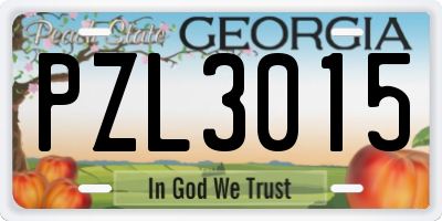 GA license plate PZL3015