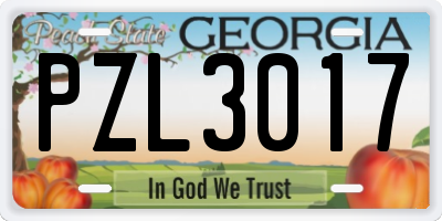 GA license plate PZL3017