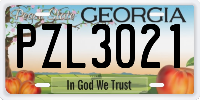 GA license plate PZL3021