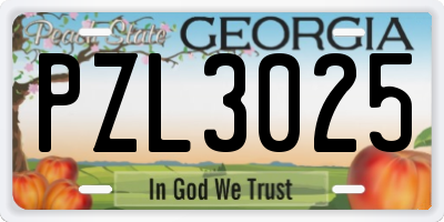 GA license plate PZL3025
