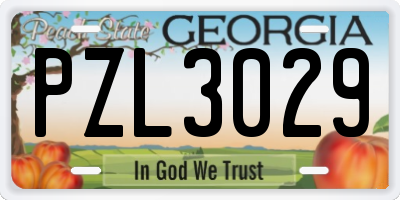 GA license plate PZL3029