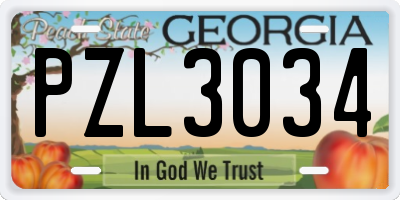 GA license plate PZL3034