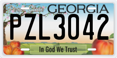 GA license plate PZL3042