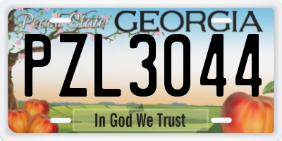 GA license plate PZL3044
