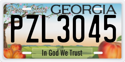 GA license plate PZL3045