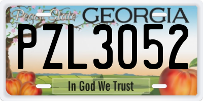 GA license plate PZL3052