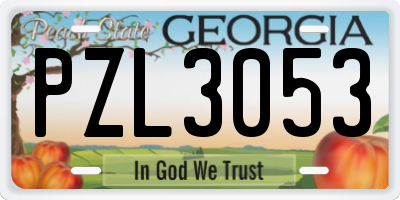 GA license plate PZL3053