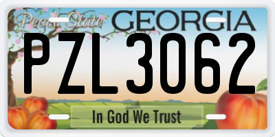 GA license plate PZL3062