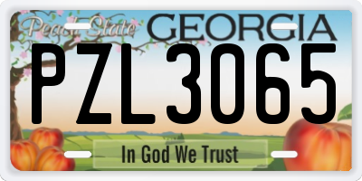 GA license plate PZL3065