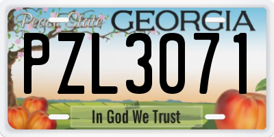 GA license plate PZL3071