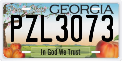 GA license plate PZL3073