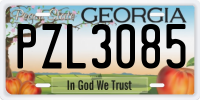 GA license plate PZL3085