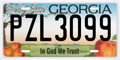 GA license plate PZL3099