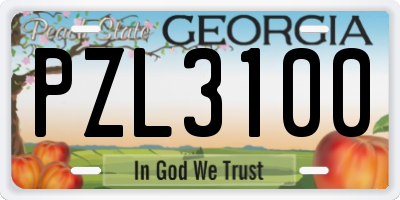 GA license plate PZL3100