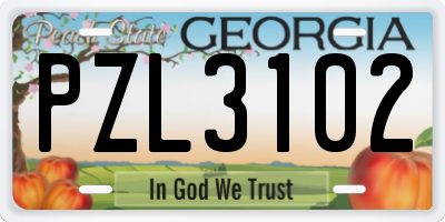 GA license plate PZL3102