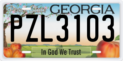 GA license plate PZL3103