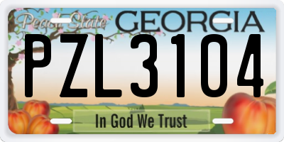 GA license plate PZL3104