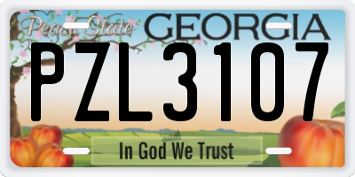 GA license plate PZL3107