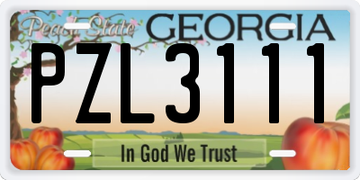 GA license plate PZL3111